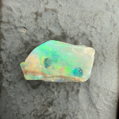 2.47cts Opalized Wood Fossil Specimen, Lightning Ridge Australia