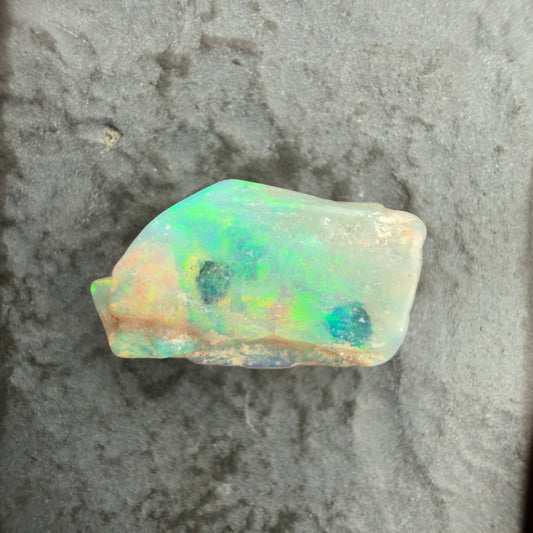 2.47cts Opalized Wood Fossil Specimen, Lightning Ridge Australia