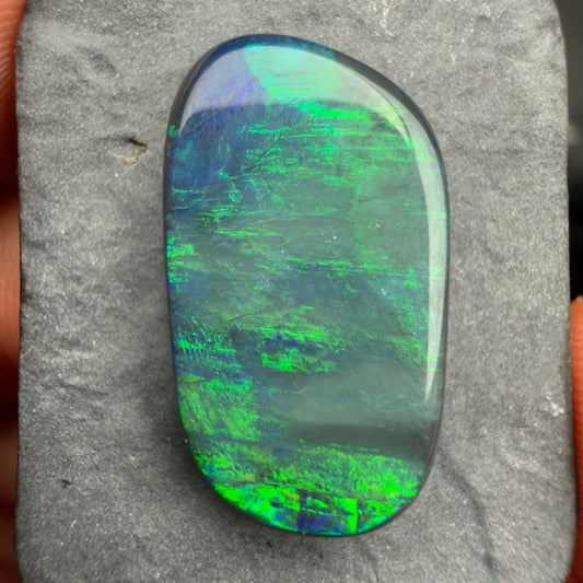 8.6cts Black Opal With A Deep Green Blue Play Of Color, From Lightning Ridge Australia