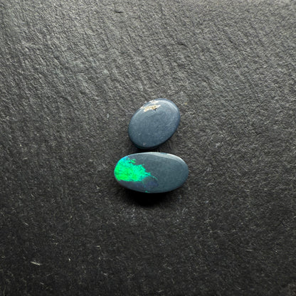 Gem Black Opals With Brilliant Green Color Palettes, Hits Of Blue And Full Faced Color