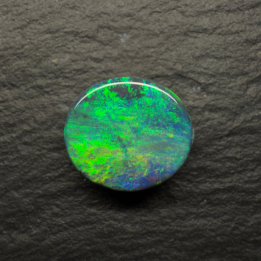 2.44ct Gem Black Opal With A Bright Green-Gold color Palette And A Moss Pattern