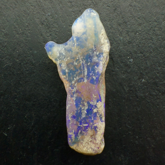 6.8ct Opalized wood fossil Specimen
