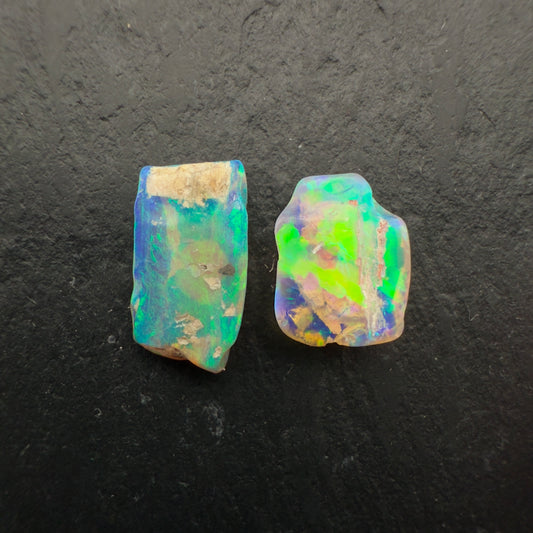 (Price Per Stone) top quality Opalized wood fossil Specimen