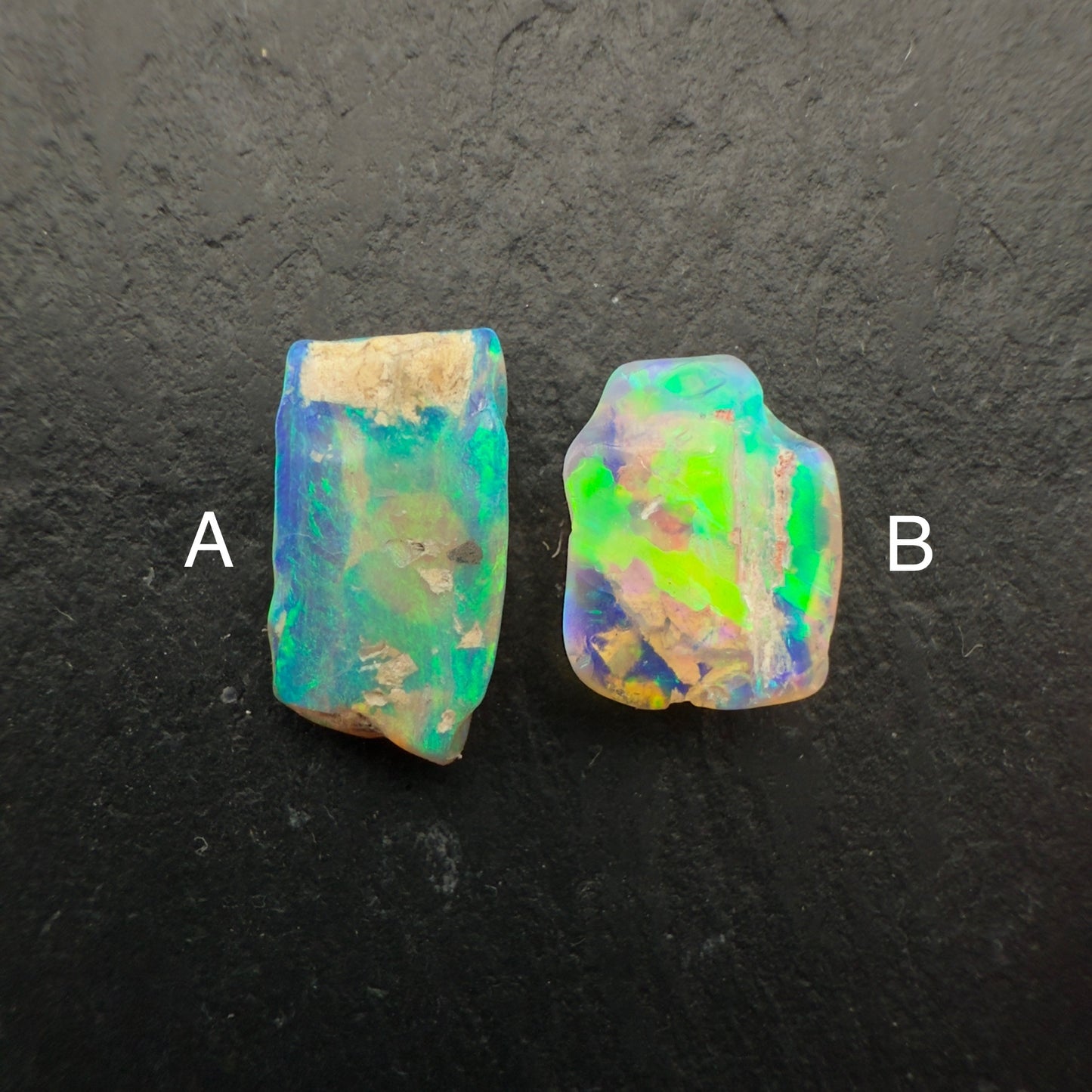 (Price Per Stone) top quality Opalized wood fossil Specimen