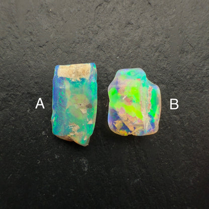 (Price Per Stone) top quality Opalized wood fossil Specimen