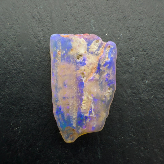 4.2ct Opalized wood fossil Specimen