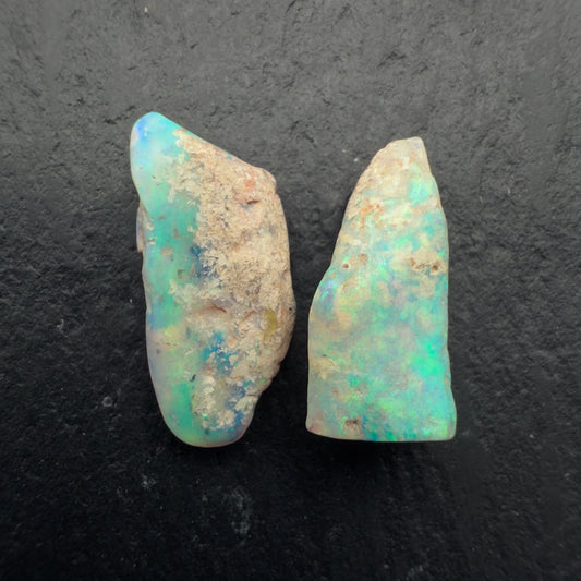 4.9ct Opalized wood fossil Specimen pair