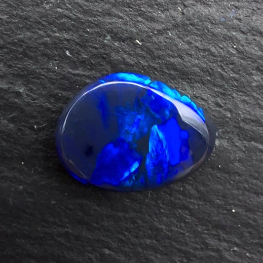 1.55cts Gem Black Opal With A Deep Blue Blocky Pattern