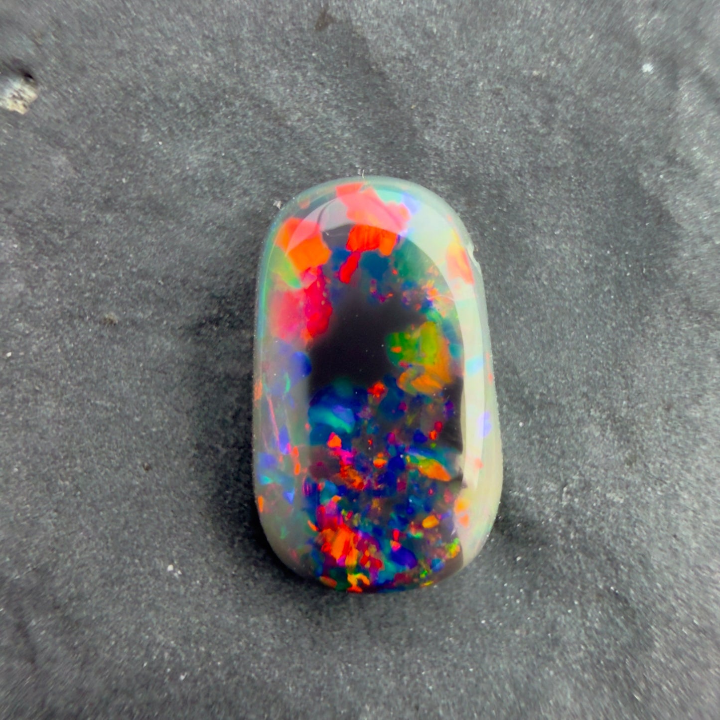 0.8cts Gem Black Opal With A Red Pink Multicolor Play Of Color