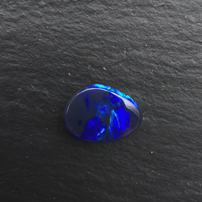 1.55cts Gem Black Opal With A Deep Blue Blocky Pattern