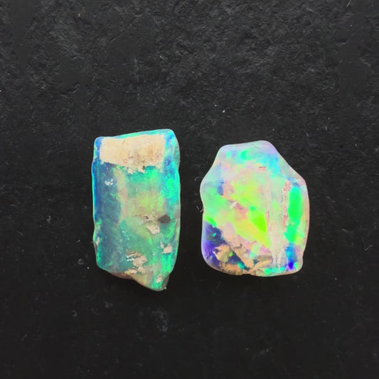 (Price Per Stone) top quality Opalized wood fossil Specimen