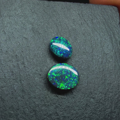 Gem Black Opals With Brilliant Green Color Palettes Hits Of Blue, full faced Color And Floral Pattern