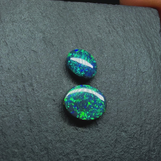 Gem Black Opals With Brilliant Green Color Palettes Hits Of Blue, full faced Color And Floral Pattern