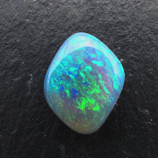 1.35cts Gem Black Opal With A Mixed Deep Green Blue Pattern