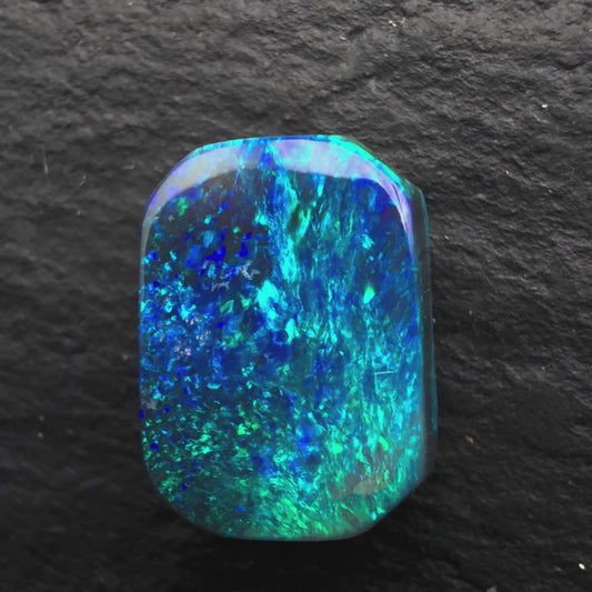 2.16cts Gem Black Opal With A Blue Green Moss Pattern
