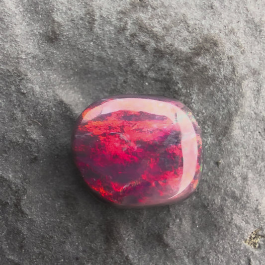 1.42cts Gem Black Opal With A Vivid Red Pink Multicolor Play Of Color, From Lightning Ridge Australia