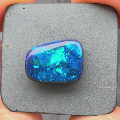 2.66cts Black Opal with a Dark Blue Green Play Of Color, From Lightning Ridge Australia