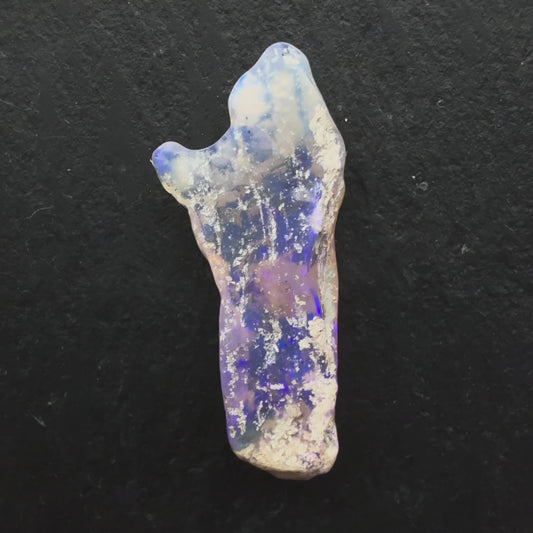 6.8ct Opalized wood fossil Specimen