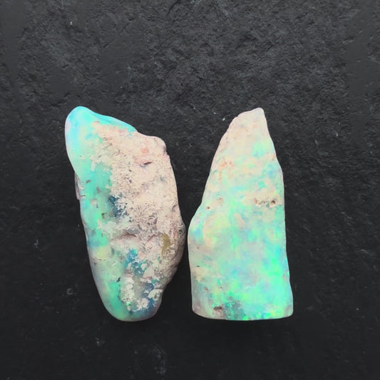 4.9ct Opalized wood fossil Specimen pair