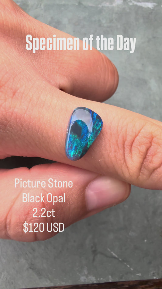 Black Opal Parcel For Angelica Beker
