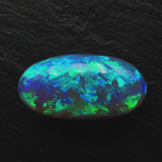 24.6ct Massive Top Gem Black Crystal Opal With Brilliant Color on color And A High Dome
