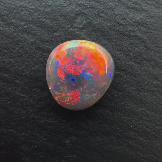 1.40cts Black Opal With A Red, Pink Multicolor Play Of Color, From Lightning Ridge Australia