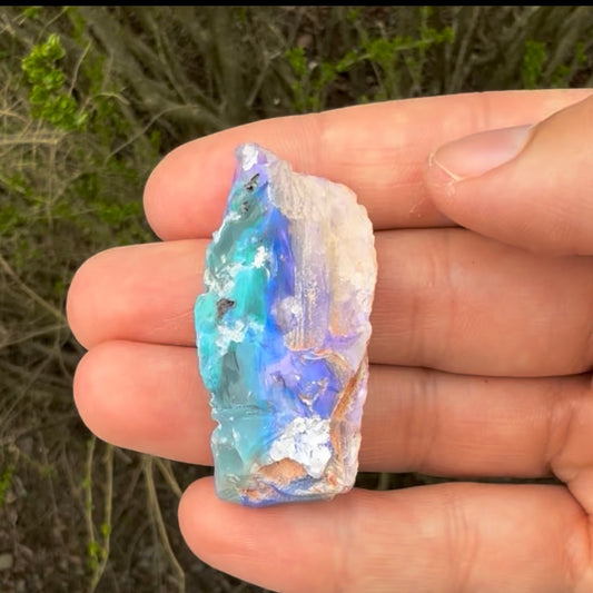 54.69cts Extremely large Opalized wood fossil specimen