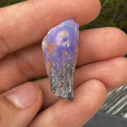 21.10cts large Opalized wood fossil specimen