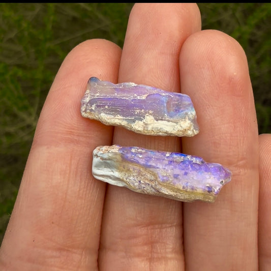 8.38cts Opalized wood fossil specimen pair