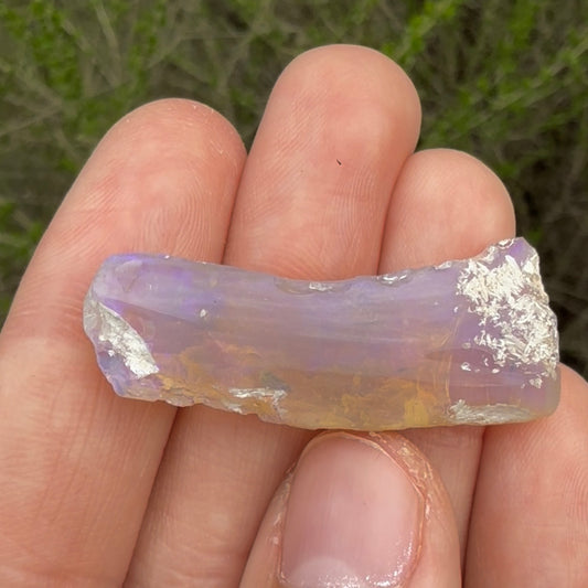 22.51cts large Opalized wood fossil specimen