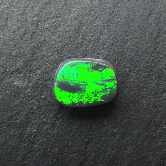0.62cts Black Opal With A Green, Blue Play Of Color, From Lightning Ridge Australia