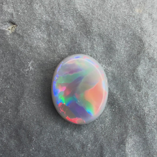 0.7cts Affordable Dark Opal With A Blue Red Multicolor Play Of Color, From Lightning Ridge Australia