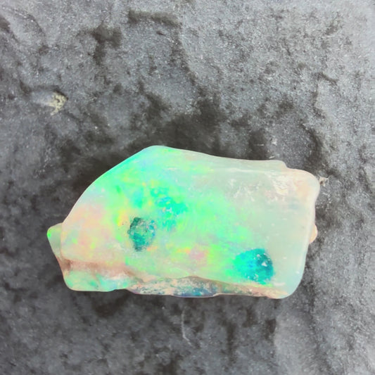 2.47cts Opalized Wood Fossil Specimen, Lightning Ridge Australia
