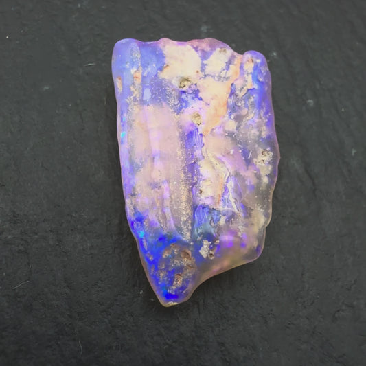 4.2ct Opalized wood fossil Specimen