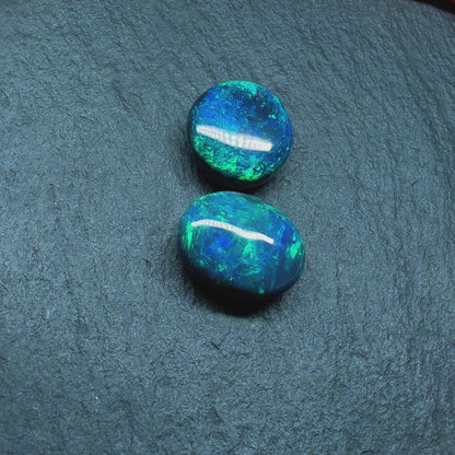 Gem Black Opals With Brilliant Green Color Palettes Hits Of Blue, full faced Color And mossy Pattern