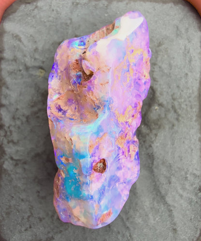 9.2cts Opalized Wood Fossil Specimen, Lightning Ridge Australia
