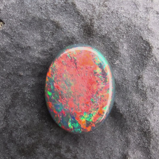 0.81ct Gem Black Opal With A Vivid Red Pink Multicolor Play Of Color, From Lightning Ridge Australia