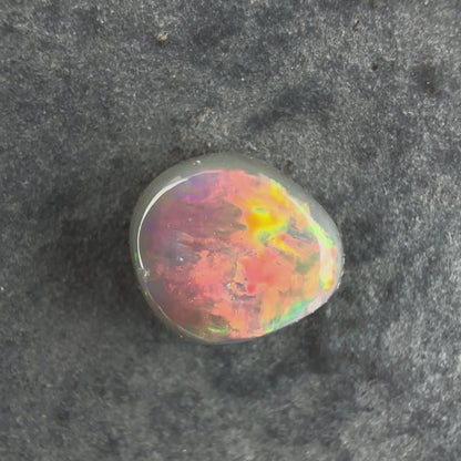 0.66cts Dark Opal With A Beautiful Mixed Red Pink Multicolor Pattern