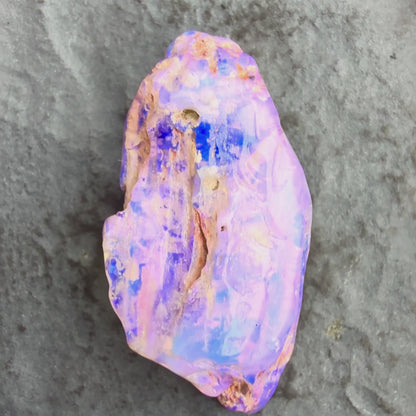 6cts Opalized Wood Fossil Specimen, Lightning Ridge Australia