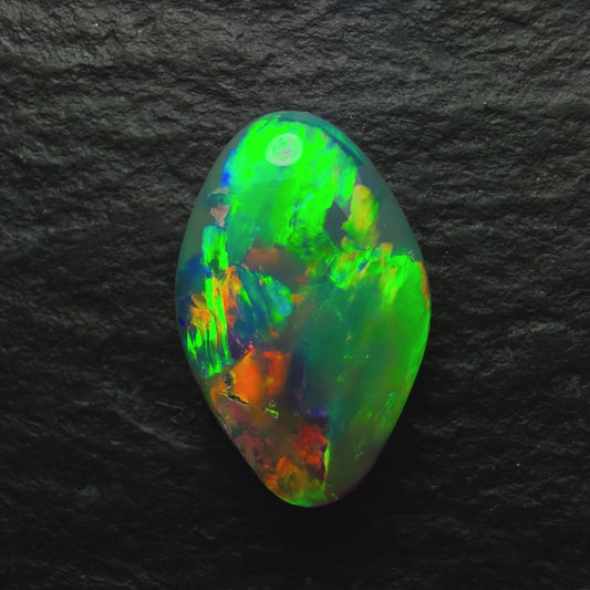 1.16ct Gem Black Opal, This Freeform Gem Has A Beautiful Array Of Orange Green and Gold with Hints Of Blue