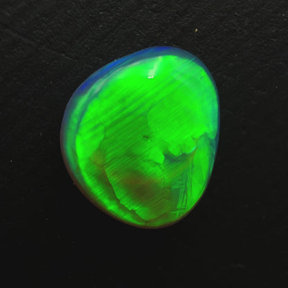 1.3ct Black Crystal Opal With A Brilliant Green Rolling Broadflash Pattern With Undertones Of Blue