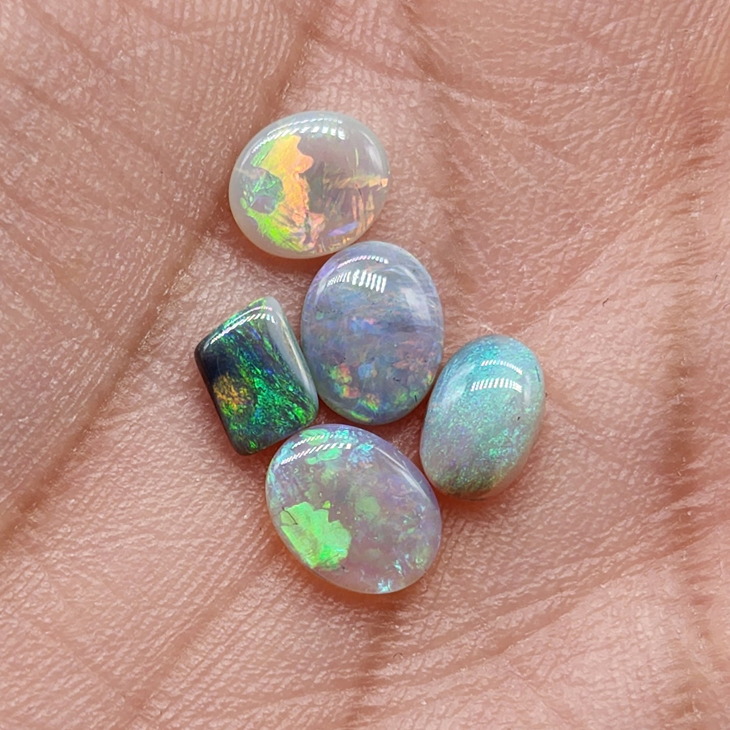 Assorted Black/ Dark opals