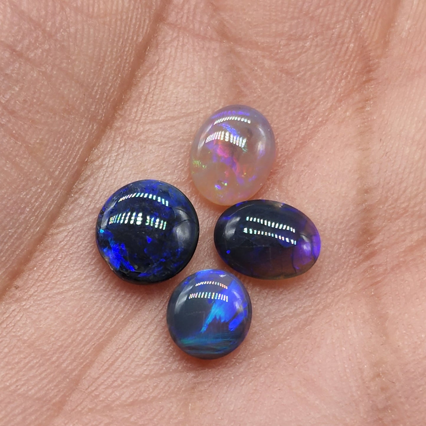 Assorted Black/ Dark opal